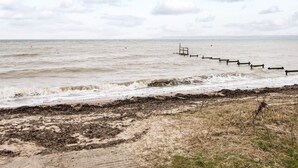 Unclassified image, 2 of 25, button - Lovely Holiday Home in Jutland Denmark With Terrace (Horsens)