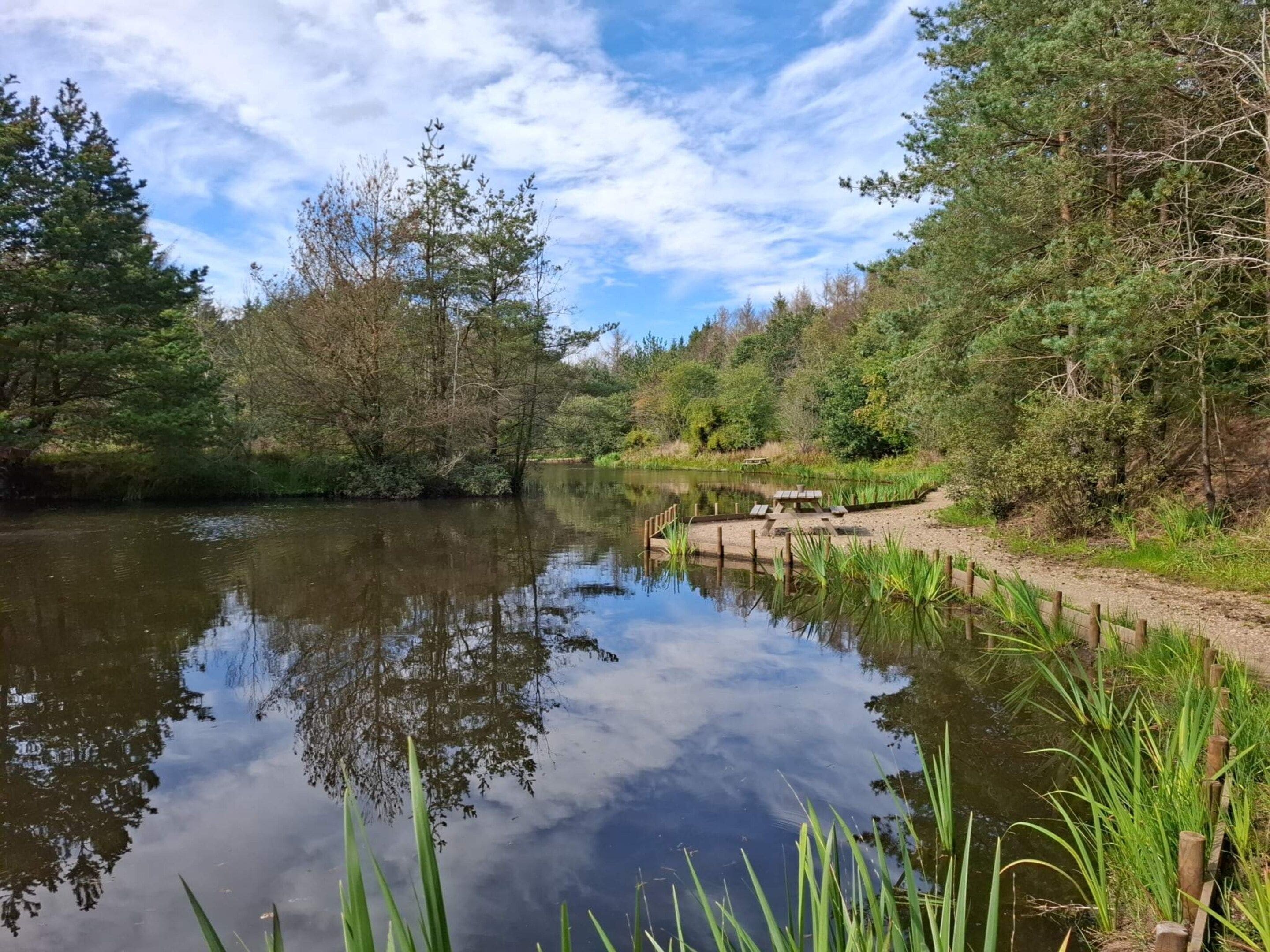 A calm river with a wooden dock and picnic table, surrounded by dense trees and greenery.