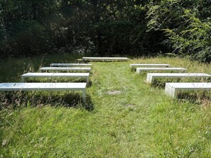 House | Property grounds