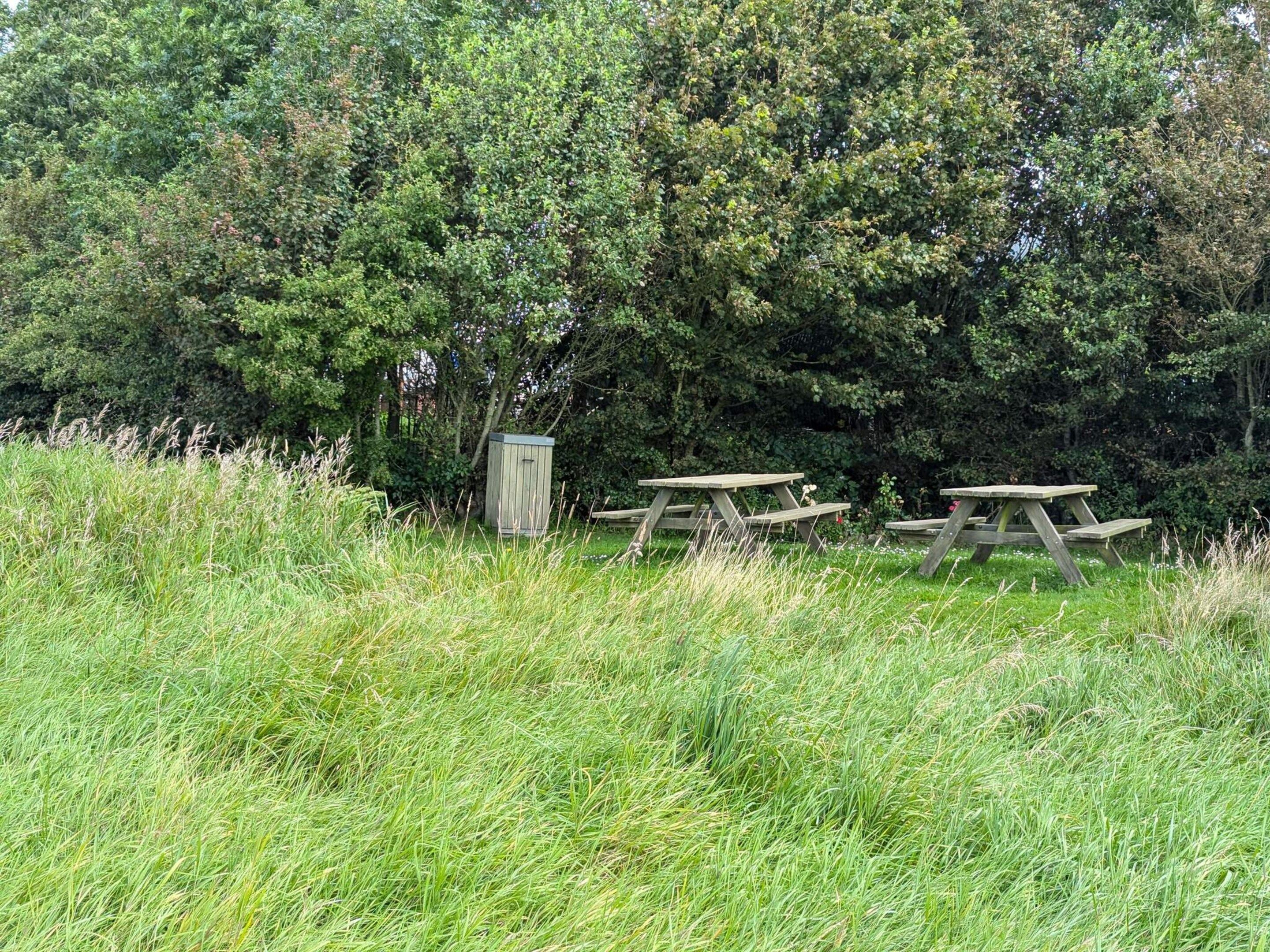 Un área de picnic con bancos de madera y un cobertizo pequeño en un campo cubierto de césped, con árboles frondosos al fondo.