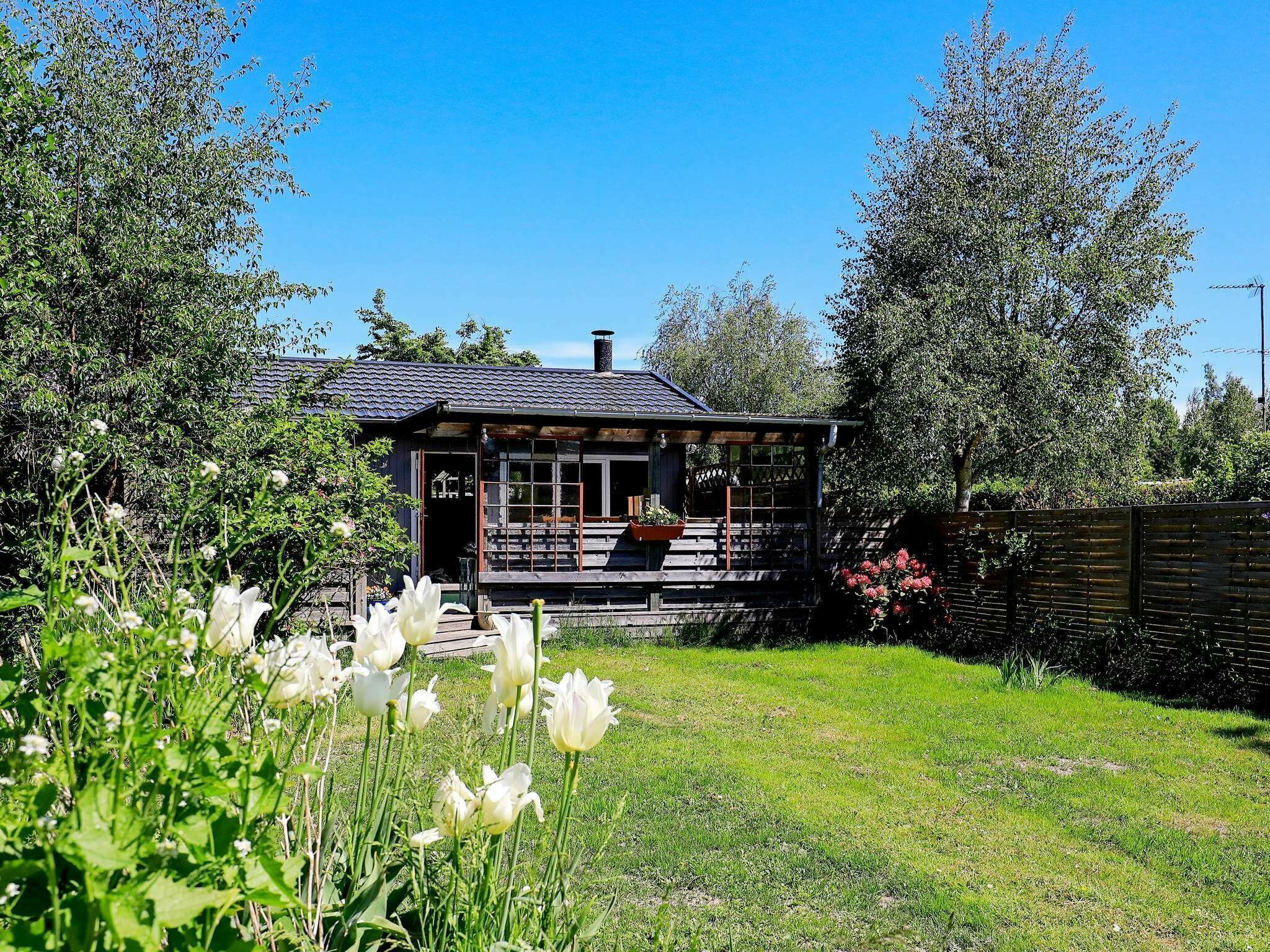 Udendørsområde