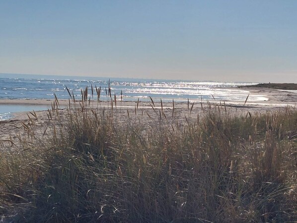 House | Water view - 5 Star Holiday Home in Hals (Hals)