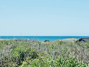 A coastal landscape with a clear sky, a beach, and a row of houses with dark roofs.