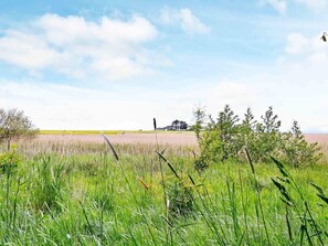 House | View from property - 4 Star Holiday Home in Thyholm (Thyholm)