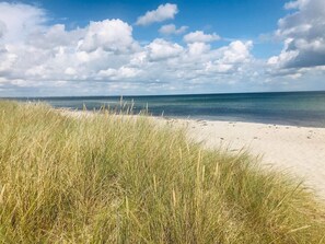A beach with sand and grass in the foreground, a clear sky, and a calm sea. - 4 Star Holiday Home in Vaeggerlose (Vaeggerlose)