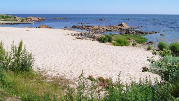 A sandy beach with rocky outcrops and green vegetation. - 4 Person Holiday Home in Allinge (Allinge)