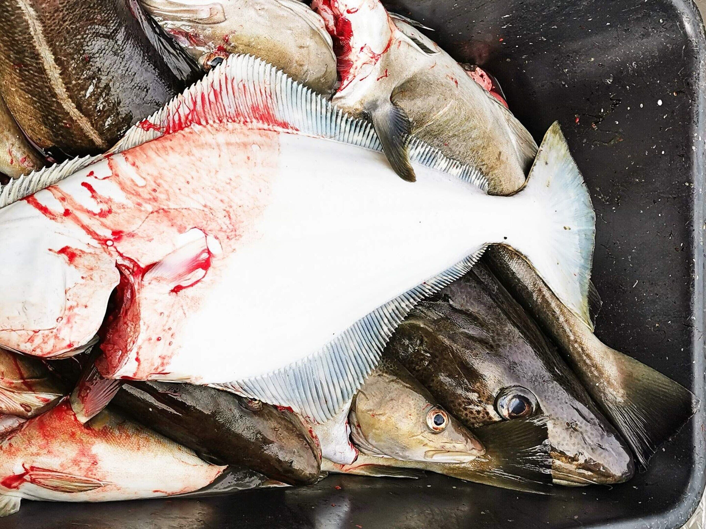 식사 및 음료
