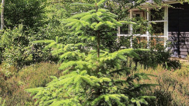 Ferienhaus | Außenbereich