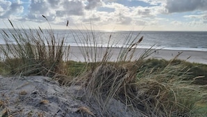 A beach with sand dunes and grass in the foreground, leading to the ocean.