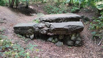 House | Property grounds