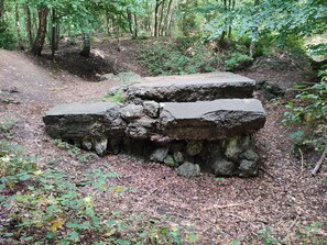 House | Property grounds - Cozy Retreat in Arrild - By Traum Ferienwohnungen (Toftlund)
