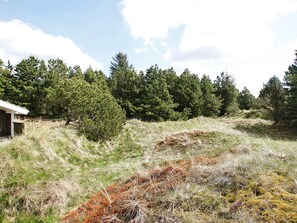 A natural landscape with a building, trees, and grassy terrain. - 4 Star Holiday Home in Blokhus (Blokhus)