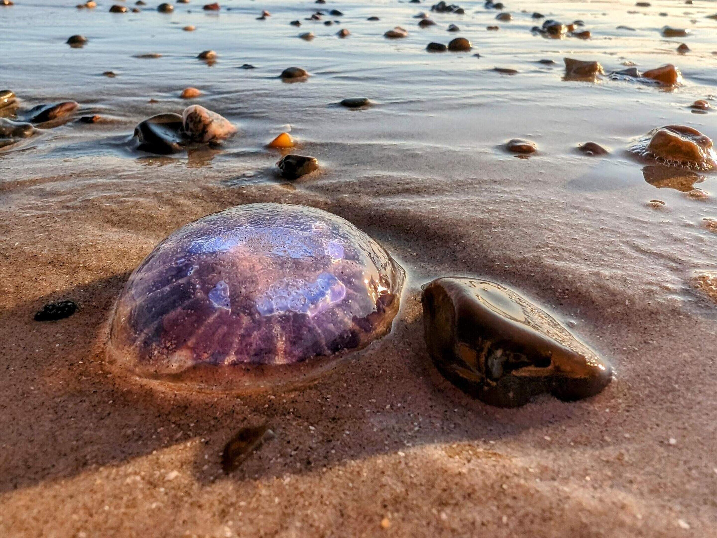 Een strandscène met een groot paars stuk zeeglas en een kleiner bruin stuk zeeglas in het zand.