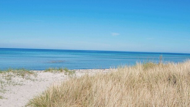 Uma praia com águas azul-claras e um caminho de areia que leva à costa.