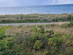 A coastal landscape with a road, grassy dunes, and a view of the sea.