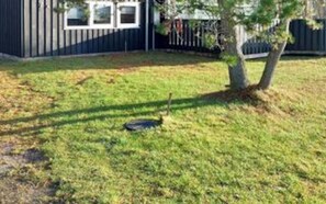 Hus | Overnattingsstedets uteområder