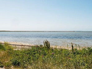 Uklassifisert bilde, 4 av 46, knapp