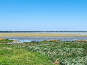A coastal landscape with a clear sky, a sandy beach, and a grassy foreground. - 8 Person Holiday Home in Orsted (Ørsted)