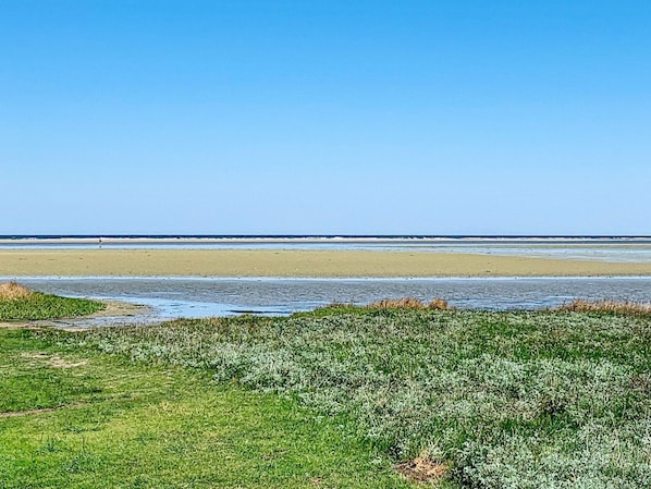 A coastal landscape with a clear sky, a sandy beach, and a grassy foreground. - 8 Person Holiday Home in Orsted (Ørsted)