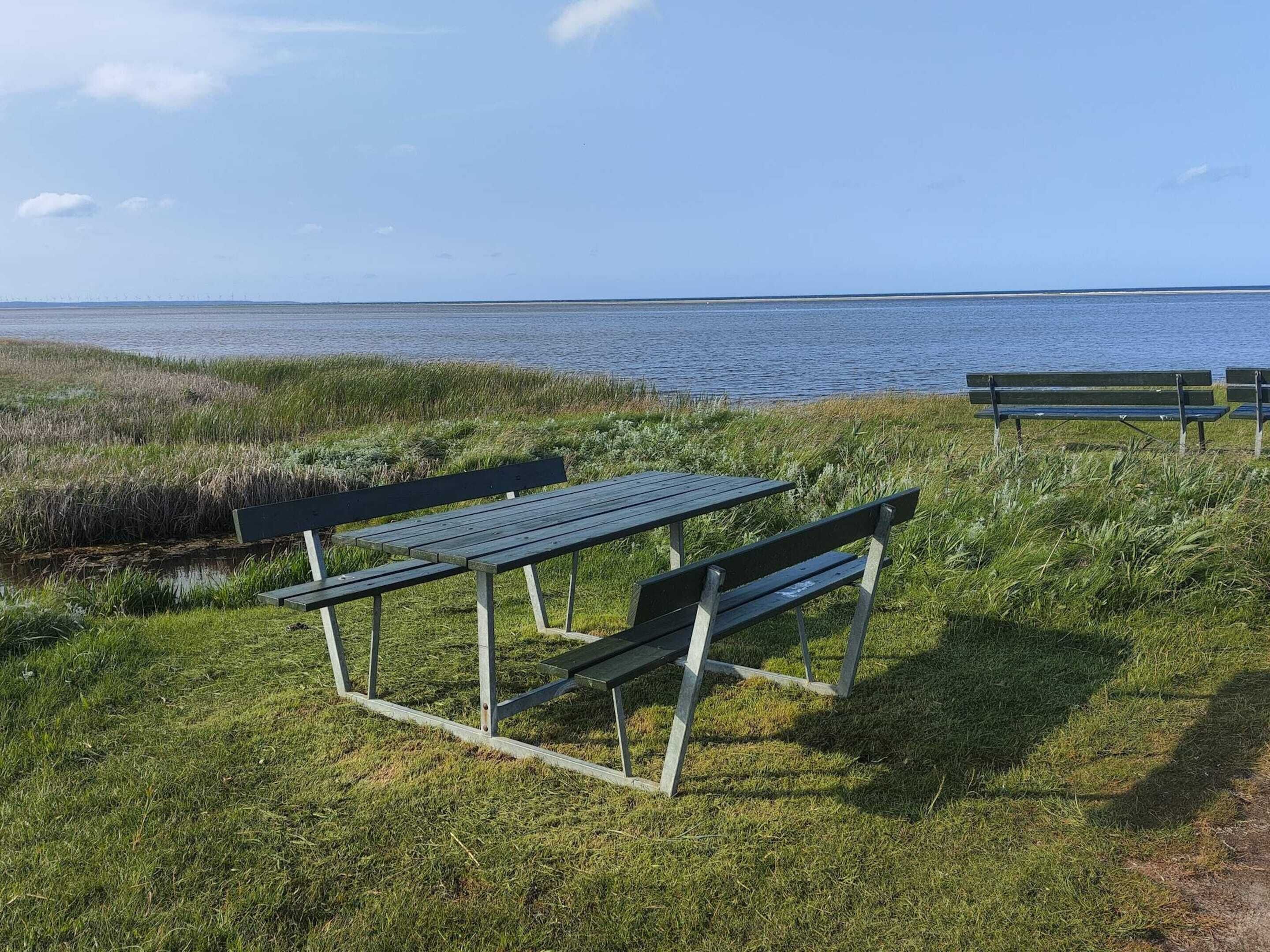 A grassy area with two benches and a picnic table, overlooking a body of water.