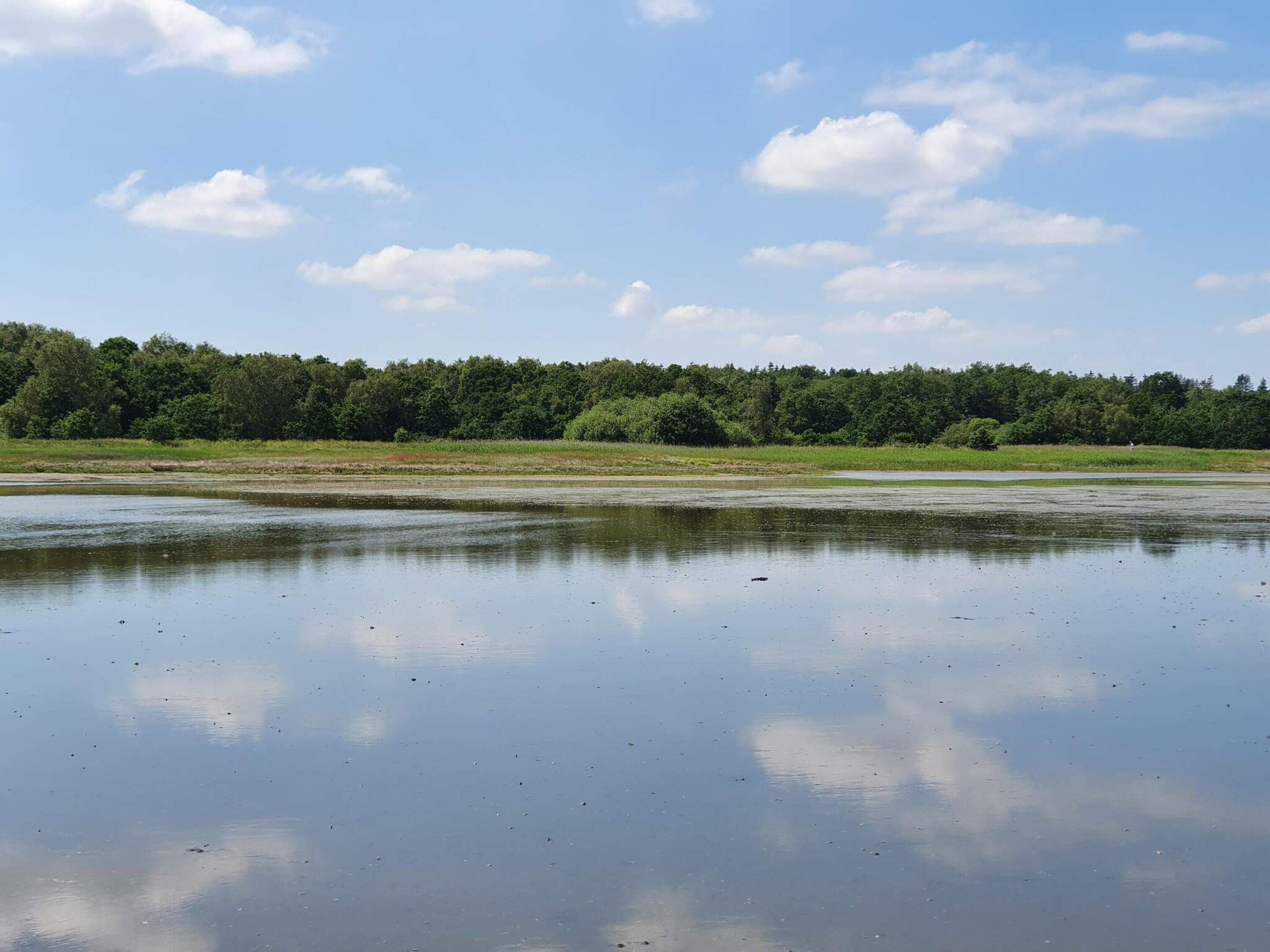 Specchio d'acqua tranquillo che riflette il cielo e gli alberi, immerso in una zona boschiva.