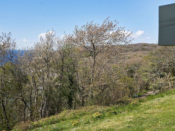 House | View from property