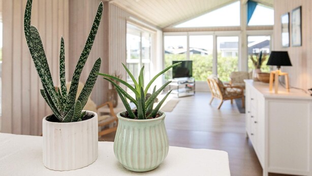 Un salon moderne avec deux plantes en pot, un téléviseur et un coin repas.
