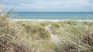 A beach path leading to the ocean with grassy dunes. - 5 Star Holiday Home in Albaek (Aalbaek)