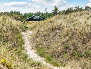 A pathway leading to a modern house surrounded by tall grass and trees.
