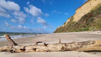 Une plage avec un grand tronc d’arbre au premier plan, une rive sablonneuse et une falaise couverte de végétation.