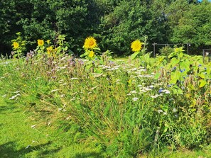 Hus | Overnatningsstedets område