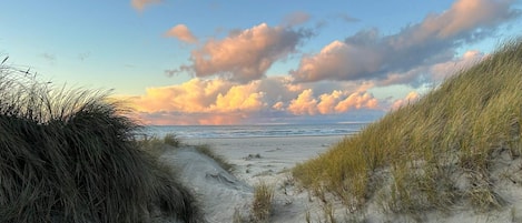 A sandy beach path leading to the ocean with dunes on either side.
