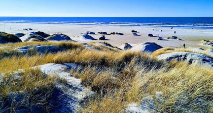 5 Star Holiday Home in Blokhus