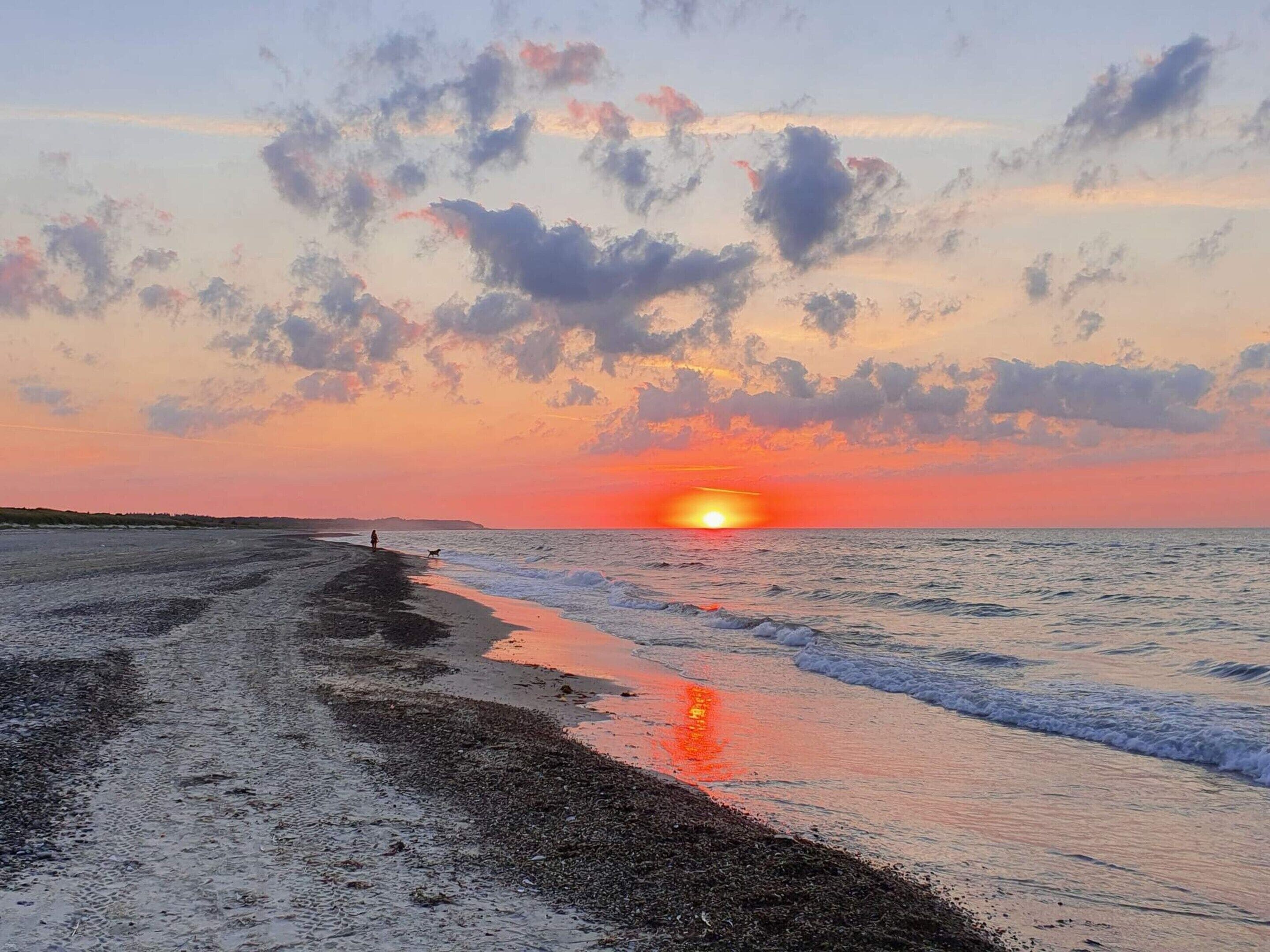 A beach with a sunset, waves, and a person walking with a dog.