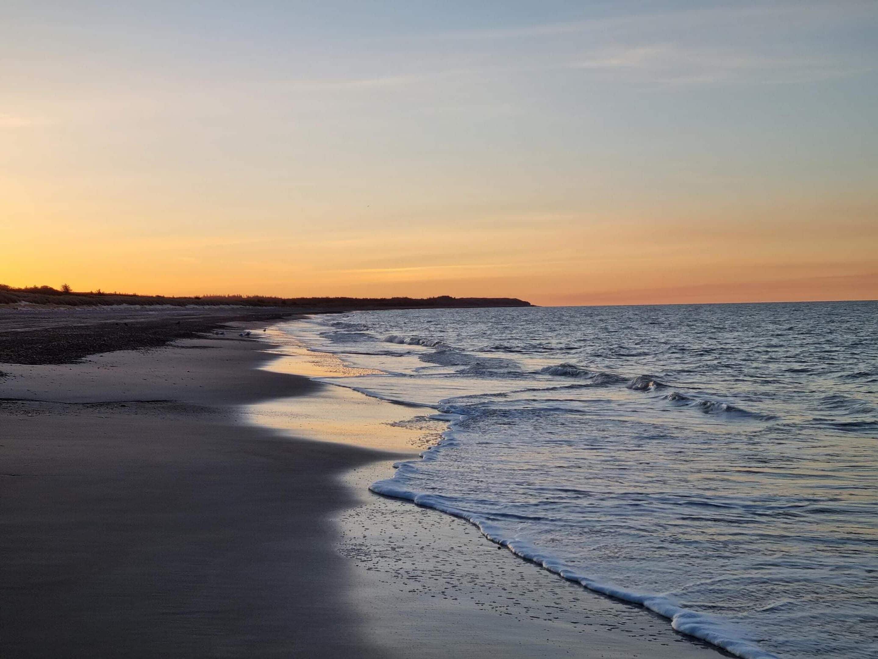 Ein Strand mit ruhiger See und blauem Himmel.