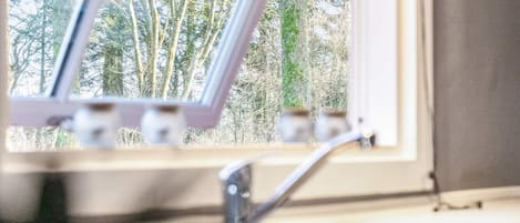 A window with a view of trees outside.
