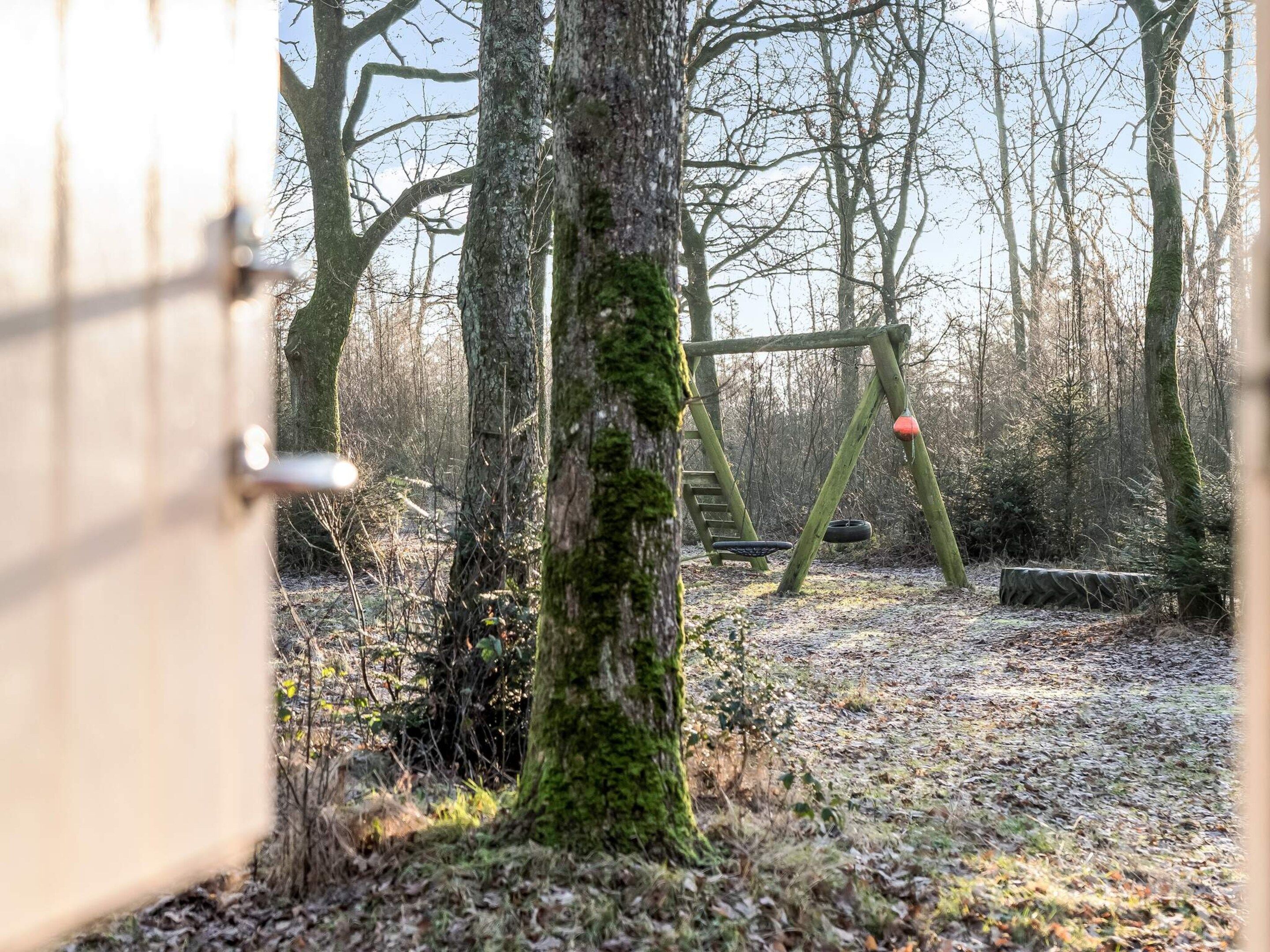 Ein bewaldetes Gebiet mit einer Schaukel und einem Reifen als Schaukel.