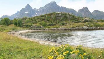 Apartment | Miscellaneous