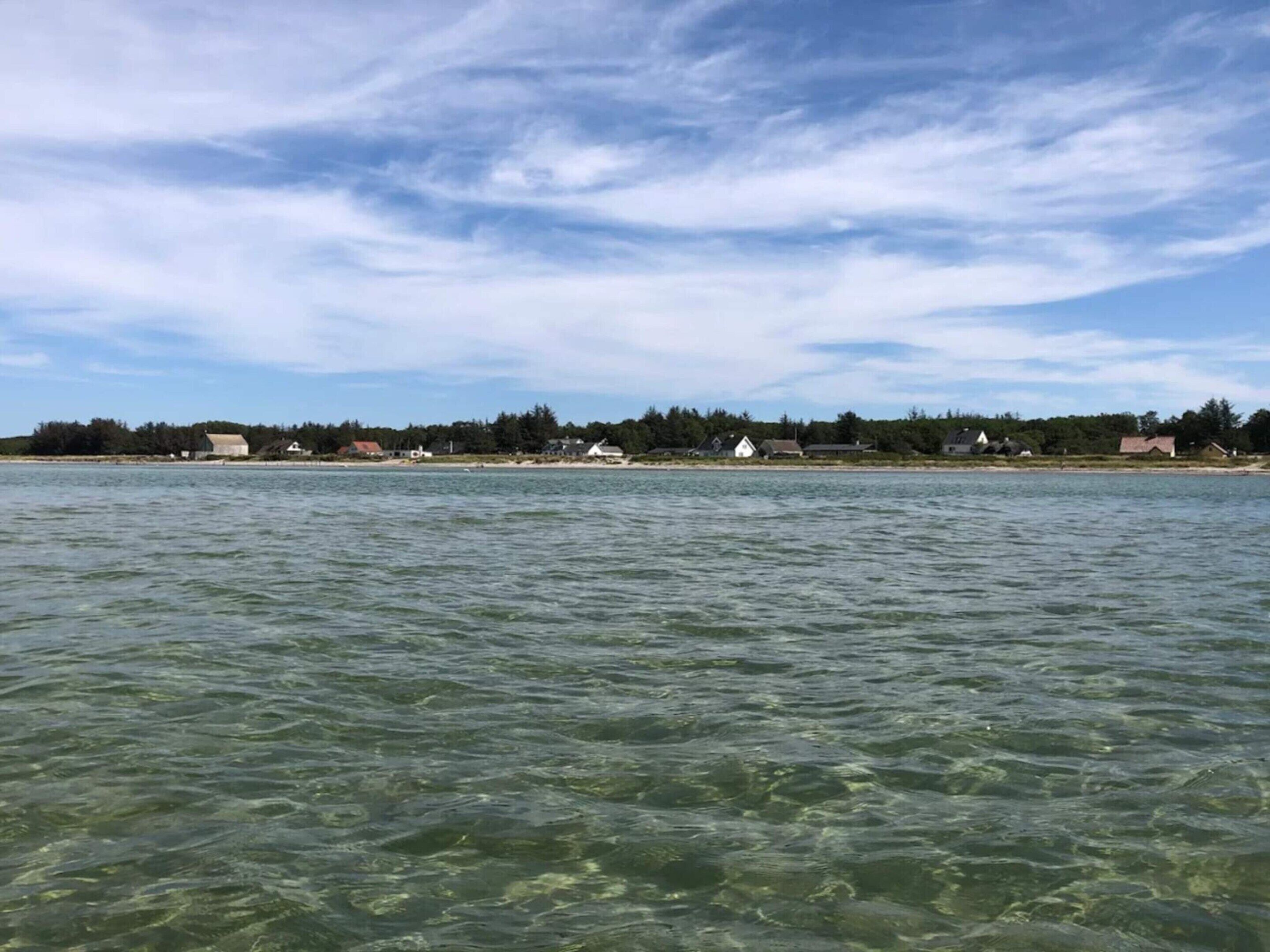 A coastal view with clear water, houses, and trees.