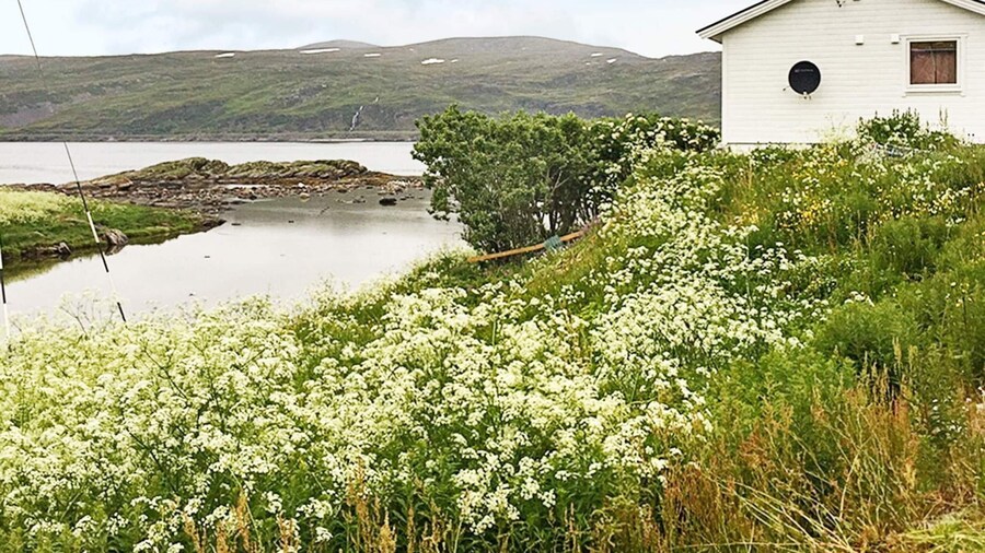 7 Person Holiday Home in Breivikbotn