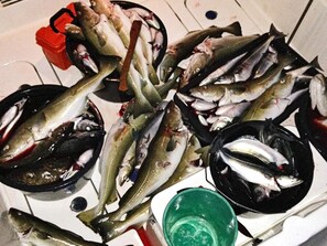 House | Food and drink