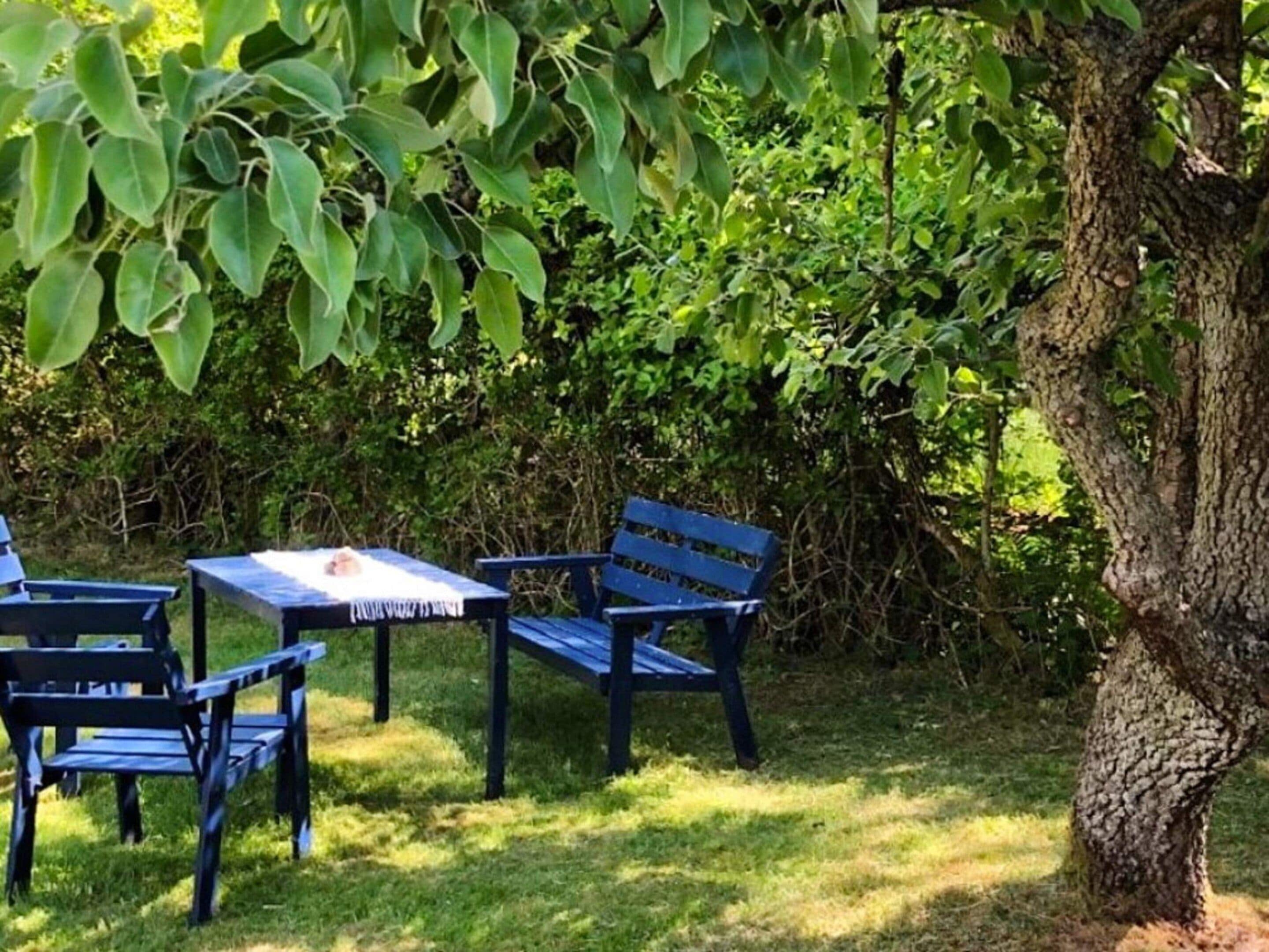A garden with a table and chairs, surrounded by greenery and a tree.