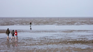 Een strand met mensen die langs de kust lopen.
