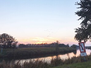 House | Miscellaneous