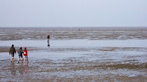 Ein Strand mit Menschen, die am feuchten Sand laufen, vereinzelten Vögeln in der Ferne und einem klaren Himmel.