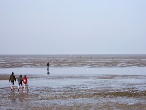 Une plage où l’on voit des gens se promener sur le sable mouillé, quelques oiseaux au loin et un ciel dégagé.