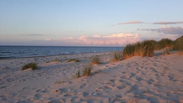 Uma praia com dunas de areia e céu limpo.