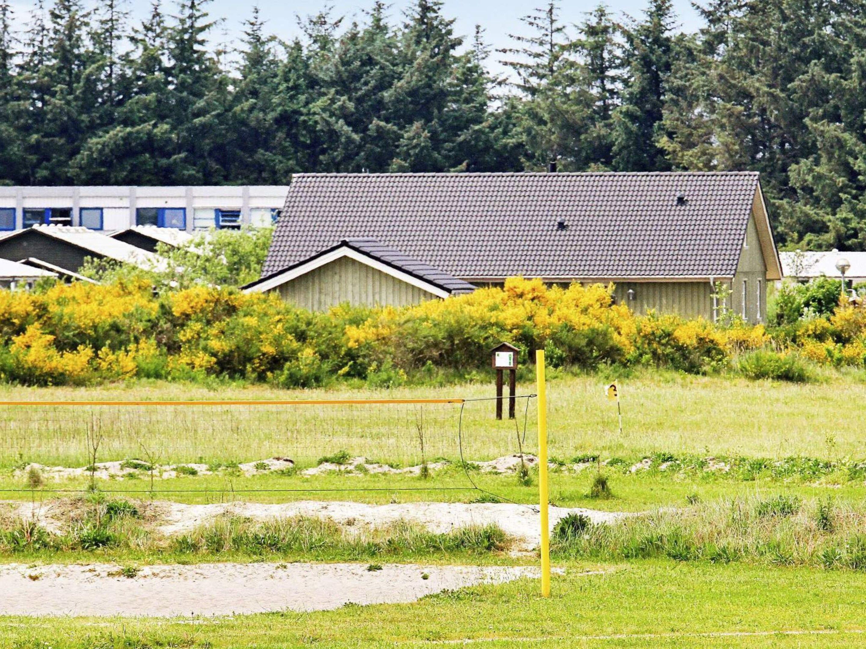 House | Sports court