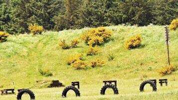 A grassy field with yellow bushes and a wooden post.