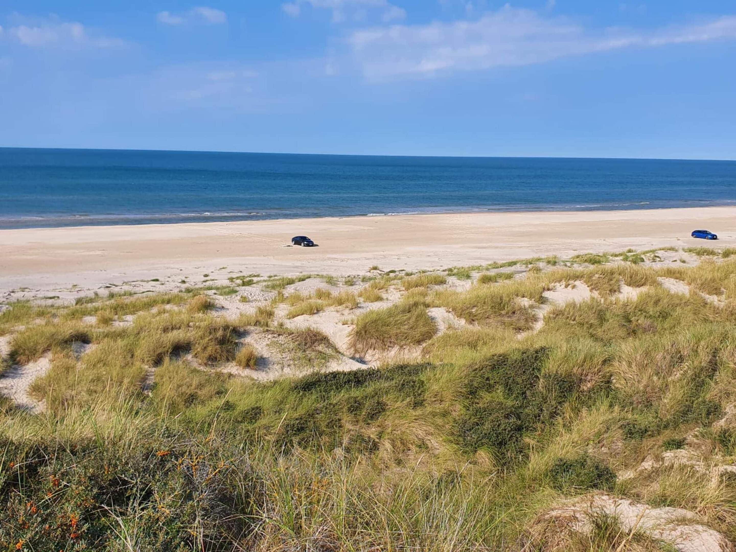 A beach with dunes and a clear view of the ocean.